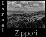 Zippori