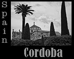 Cordoba